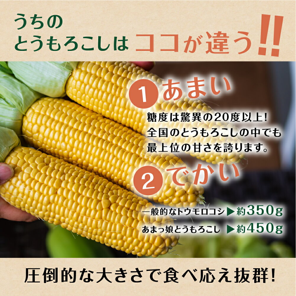 【ふるさと納税】あまーい あまっ娘 とうもろこし （10本〜12本　4.0kg以上） 産地直送 田原市 送料無料 - 画像2