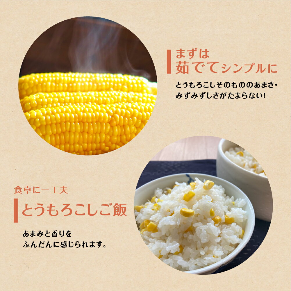 【ふるさと納税】あまーい あまっ娘 とうもろこし （10本〜12本　4.0kg以上） 産地直送 田原市 送料無料 - 画像3