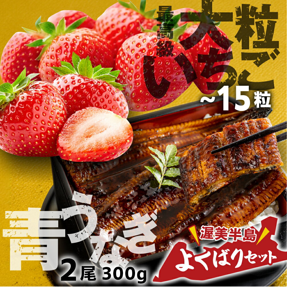幻の青うなぎ ＆ いちご セット うなぎ 訳あり 蒲焼 2尾 大粒 激甘 苺 ギフト箱入り 青鰻 ウナギ 鰻 蒲焼き 最高級 長蒲焼 特大サイズ 楽天限定 土用丑の日 丑の日 簡単調理 惣菜 果物 フルーツ くだもの どうまい 定期便(2回)
