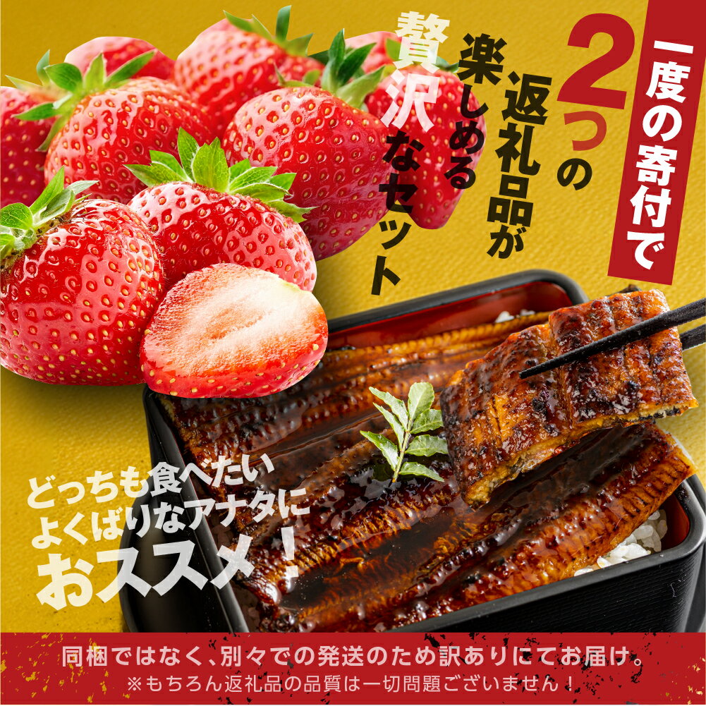 【ふるさと納税】幻の青うなぎ ＆ いちご セット うなぎ 訳あり 蒲焼 2尾 大粒 激甘 苺 ギフト箱入り 青鰻 ウナギ 鰻 蒲焼き 最高級 長蒲焼 特大サイズ 楽天限定 土用丑の日 丑の日 簡単調理 惣菜 果物 フルーツ くだもの どうまい 定期便(2回) サムネイル2