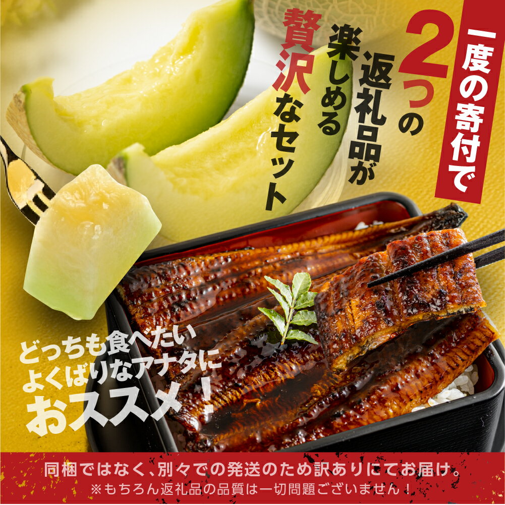 【ふるさと納税】＼高評価★4.5／ 幻の青うなぎ ＆ マスクメロン セット うなぎ 訳あり 蒲焼 2尾 ウナギ 鰻 蒲焼き 最高級 長蒲焼 特大サイズ 楽天限定 土用丑の日 丑の日 簡単調理 惣菜 ギフト箱入り メロン 2玉 秀品 フルーツ くだもの unagi 暑さ 対策 送料無料 サムネイル2
