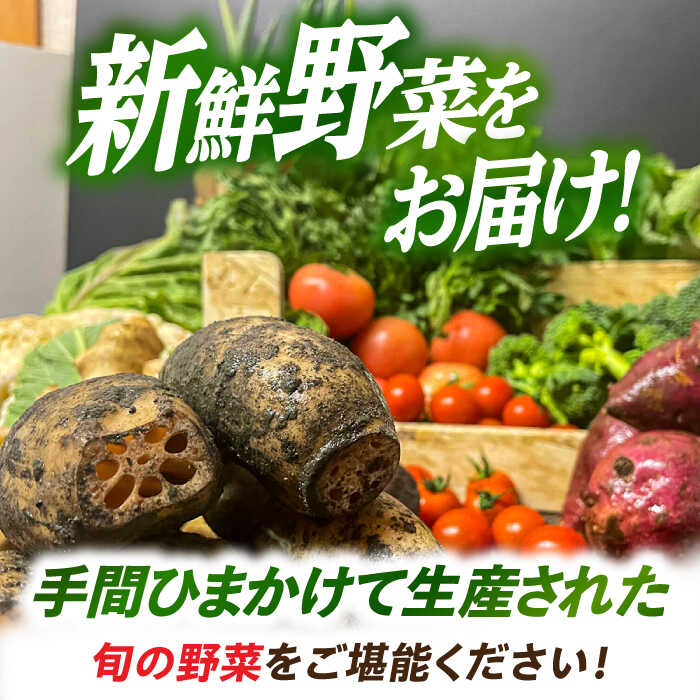 【ふるさと納税】とくとく市場厳選 旬の野菜詰合せ セット 野菜BOX 旬 厳選 愛西市/有限会社FKMジャパンダイニング 【配達不可：離島】[AEAE001] - 画像2