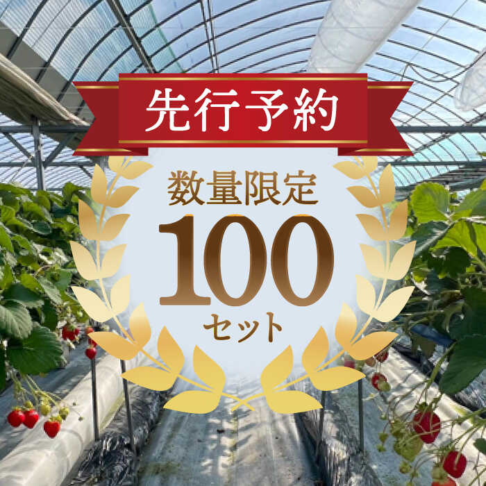 【ふるさと納税】【先行予約/2026年1月上旬より順次発送】 いちご さちのか 500g×2パック 計1kg 【配達不可：離島】 イチゴ フルーツ 果物 苺 愛西市 / 平野苺 [AEAY001] サムネイル2