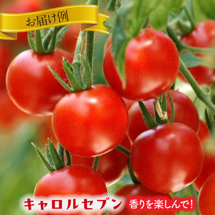 【ふるさと納税】いろどりあざやか カラフルミニトマト 1.0kg　野菜 ミニトマト サラダ 愛西市/株式会社石原農園[AEBG001] - 画像2