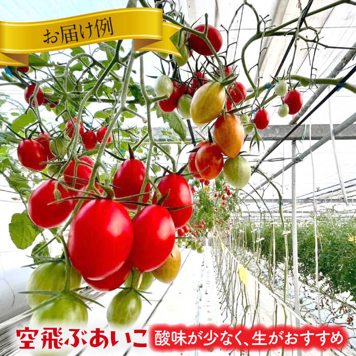 【ふるさと納税】いろどりあざやか カラフルミニトマト 1.0kg　野菜 ミニトマト サラダ 愛西市/株式会社石原農園[AEBG001] - 画像3