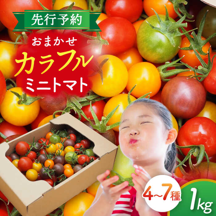 いろどりあざやか カラフルミニトマト 1.0kg　野菜 ミニトマト サラダ 愛西市/株式会社石原農園[AEBG001]