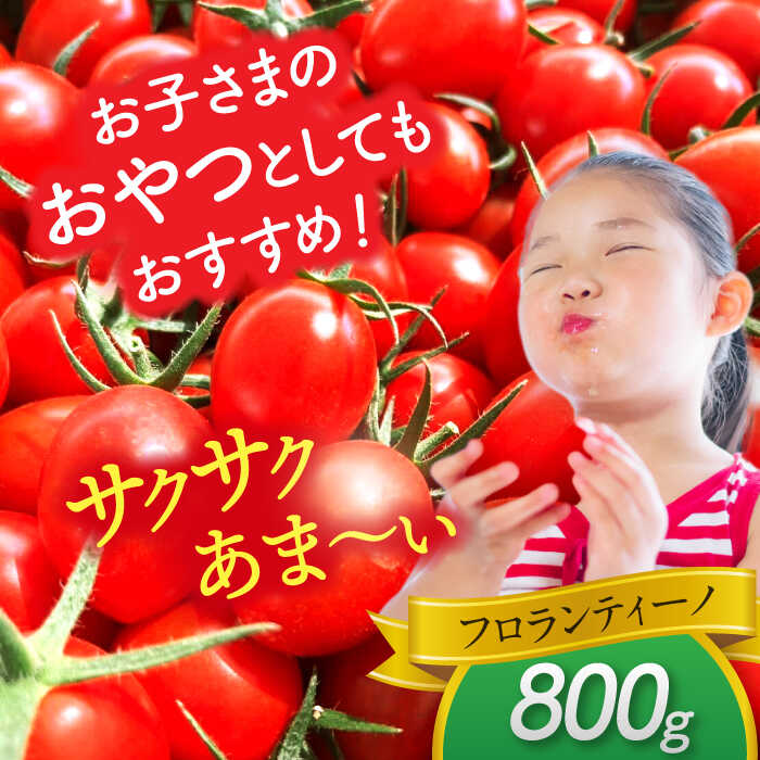 【ふるさと納税】 ミニトマト (フロランティーノ)　800g　トマト　野菜　新鮮　期間限定トマト　愛西市/株式会社石原農園[AEBG004] - 画像3