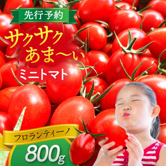 ミニトマト (フロランティーノ)　800g　トマト　野菜　新鮮　期間限定トマト　愛西市/株式会社石原農園[AEBG004]