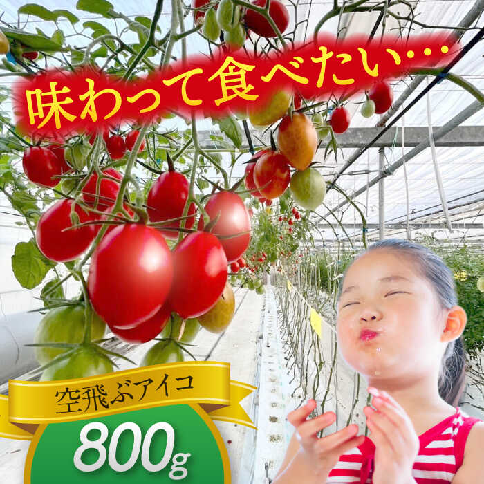【ふるさと納税】【先行予約】【1月より順次発送】 ミニトマト(空飛ぶアイコ)800g　トマト　野菜　新鮮　期間限定トマト　愛西市/株式会社石原農園[AEBG006] - 画像3