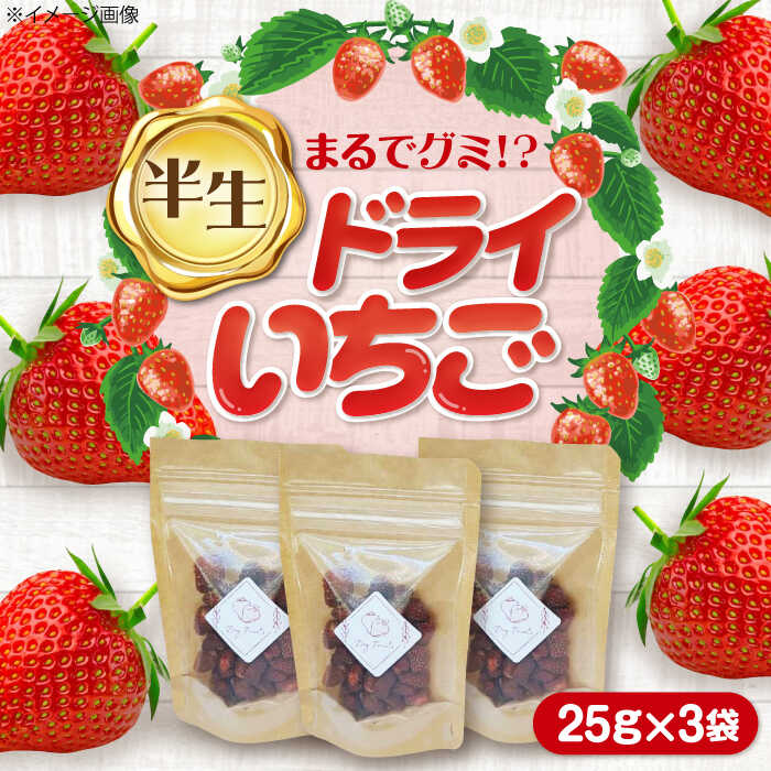 いちご 農家の手作り ドライ 苺 ドライフルーツ イチゴ フルーツ 愛西市 / しのだ農園[AECE001]