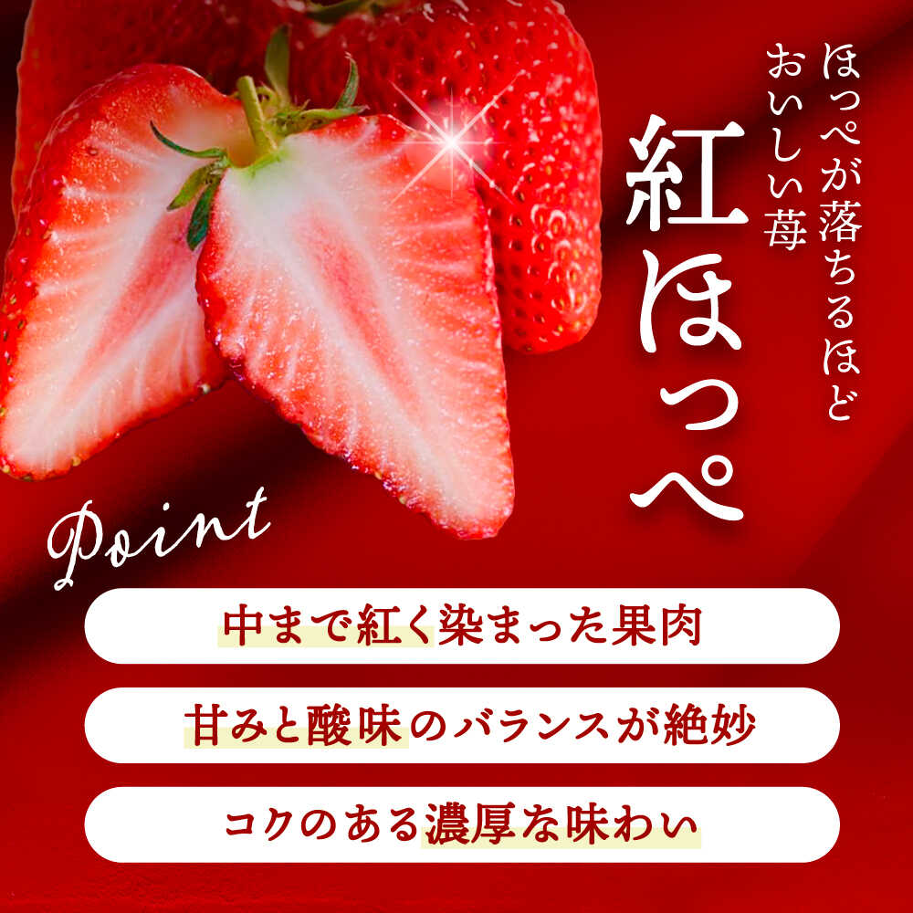 【ふるさと納税】【先行予約】 ＼毎年12月より順次発送／ 大玉 紅ほっぺ 5粒〜6粒程度 いちご 果物 フルーツ 愛西市 / くぼ苺農園 【配達不可：北海道・沖縄・離島】[AECJ011] サムネイル3