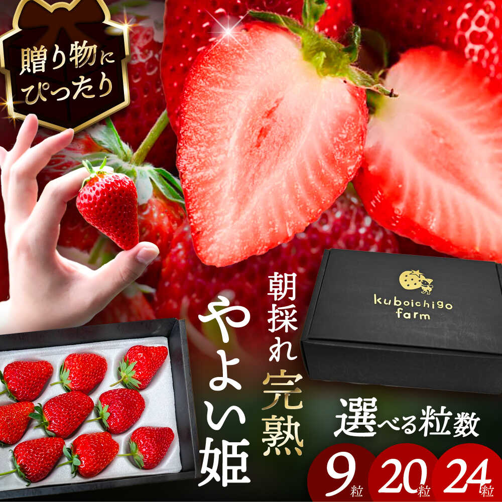 【選べる個数】【先行予約】 ＼毎年12月より順次発送／ やよい姫 9粒 / 20粒 / 24粒 いちご フルーツ 果物 愛西市 / くぼ苺農園 【配達不可：北海道・沖縄・離島】[AECJ012]