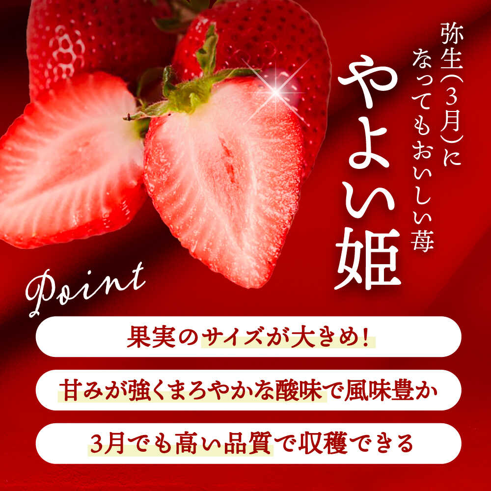 【ふるさと納税】【先行予約】 ＼毎年12月より順次発送／ 〈大玉〉 やよい姫　5粒〜6粒程度 果物 いちご フルーツ 愛西市 / くぼ苺農園 【配達不可：北海道・沖縄・離島】[AECJ015] サムネイル3