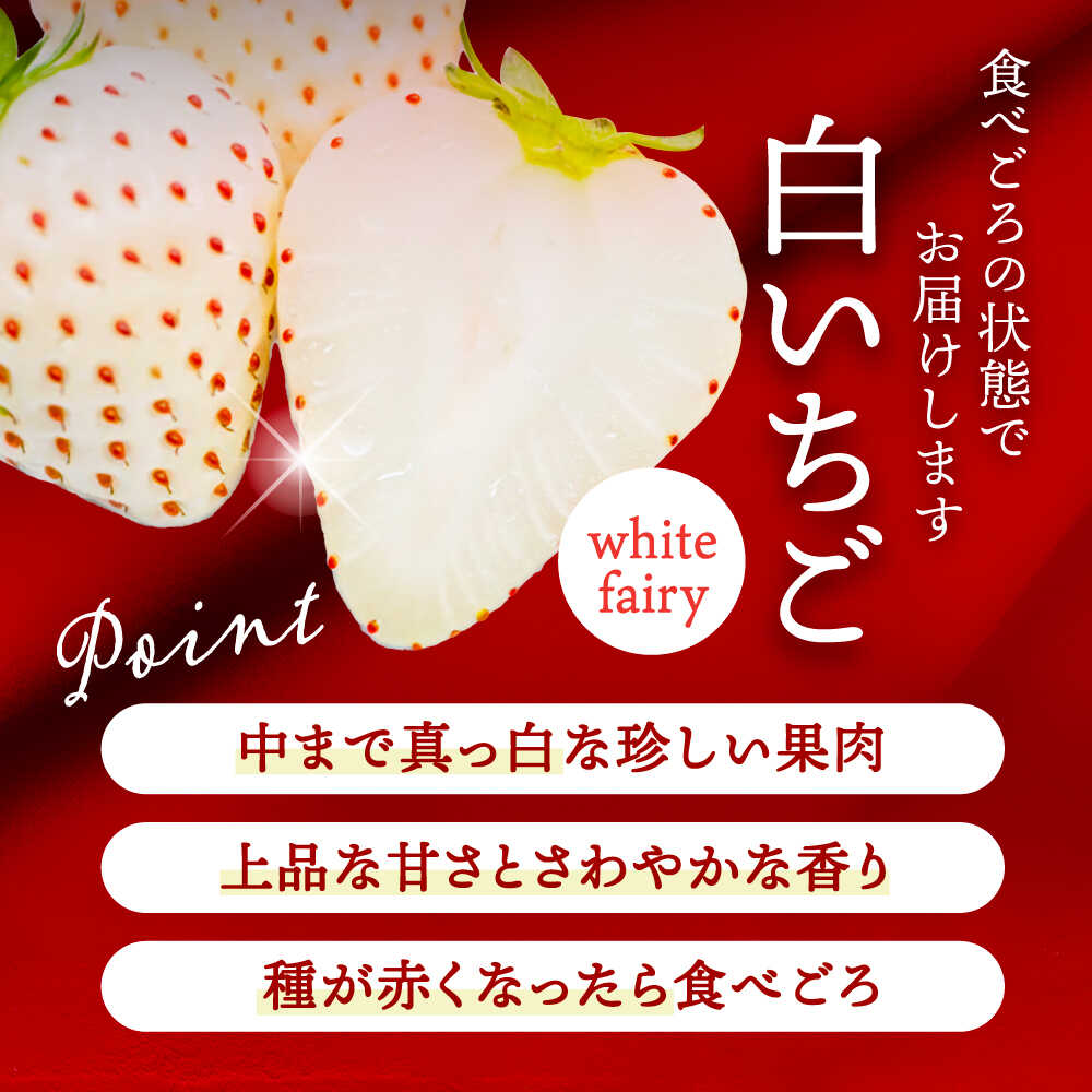 【ふるさと納税】【選べる個数】【先行予約】 ＼毎年1月より順次発送／ 白いちご　White Fairy 9粒 / 20粒 / 24粒愛西市 / くぼ苺農園 【配達不可：北海道・沖縄・離島】[AECJ016] サムネイル3