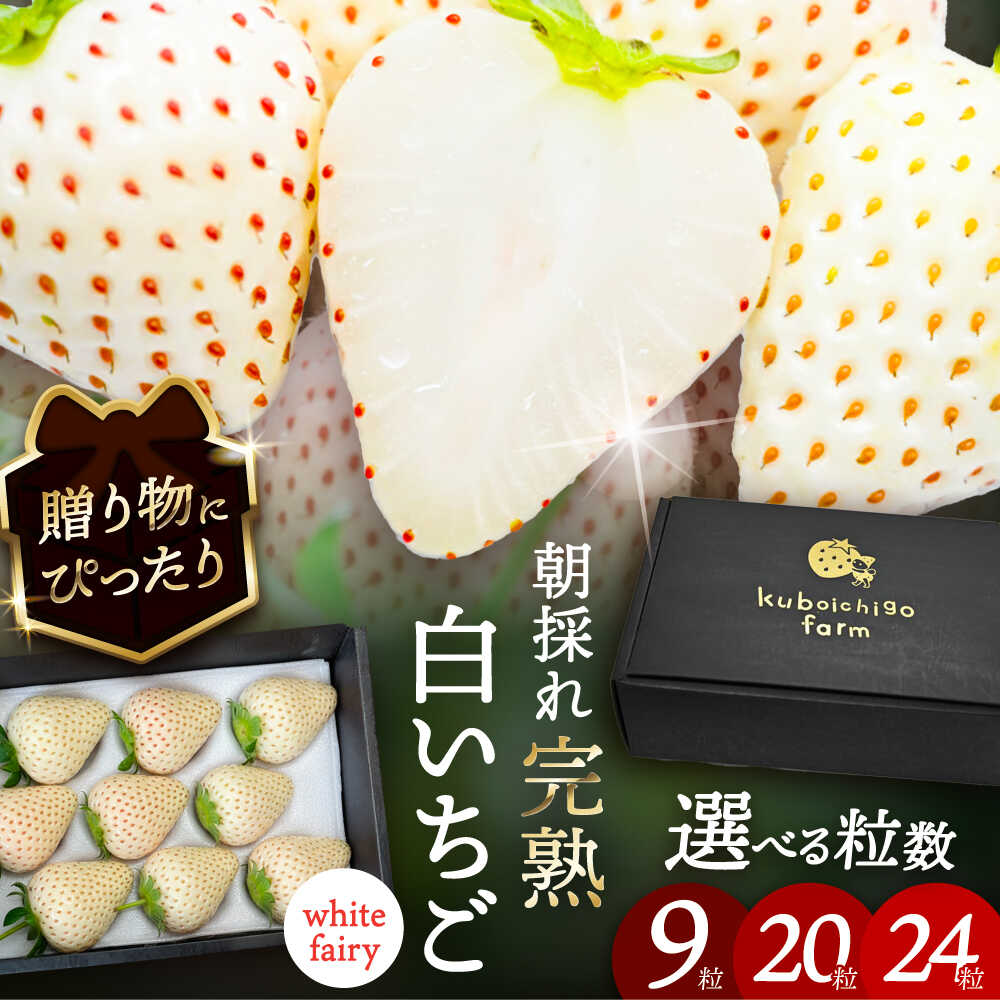 【選べる個数】【先行予約】 ＼毎年1月より順次発送／ 白いちご　White Fairy 9粒 / 20粒 / 24粒愛西市 / くぼ苺農園 【配達不可：北海道・沖縄・離島】[AECJ016]