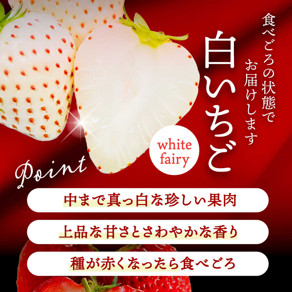 【ふるさと納税】【先行予約】 ＼毎年1月より順次発送／ 〈大玉〉 いちご 詰め合わせ　紅ほっぺorやよい姫×White Fairy 果物 イチゴ フルーツ 愛西市 / くぼ苺農園 【配達不可：北海道・沖縄・離島】[AECJ019] サムネイル3