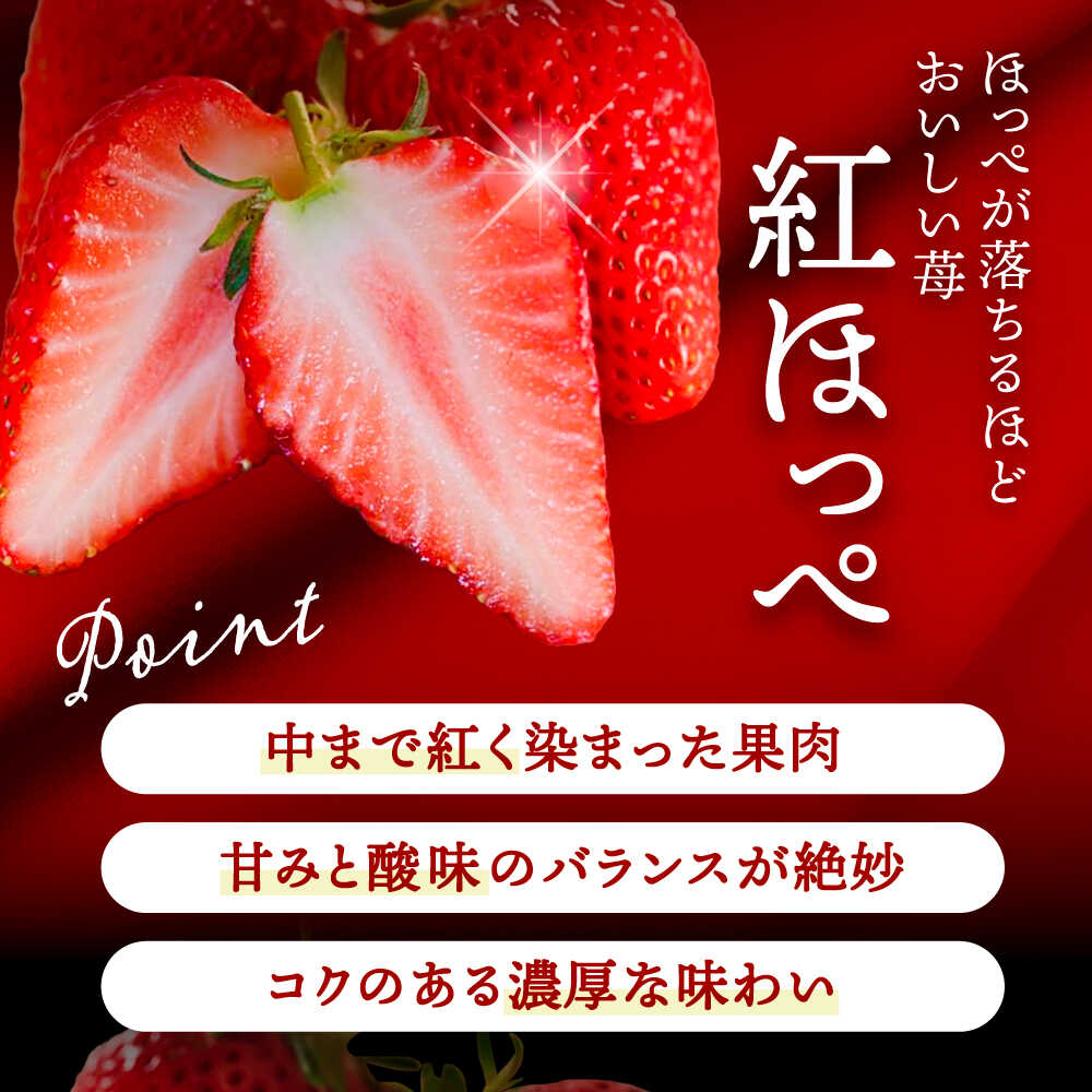 【ふるさと納税】【先行予約】 ＼毎年12月より順次発送／ 超大玉 紅ほっぺorやよい姫 1粒 果物 いちご フルーツ 愛西市 / くぼ苺農園 【配達不可：北海道・沖縄・離島】[AECJ020] サムネイル3