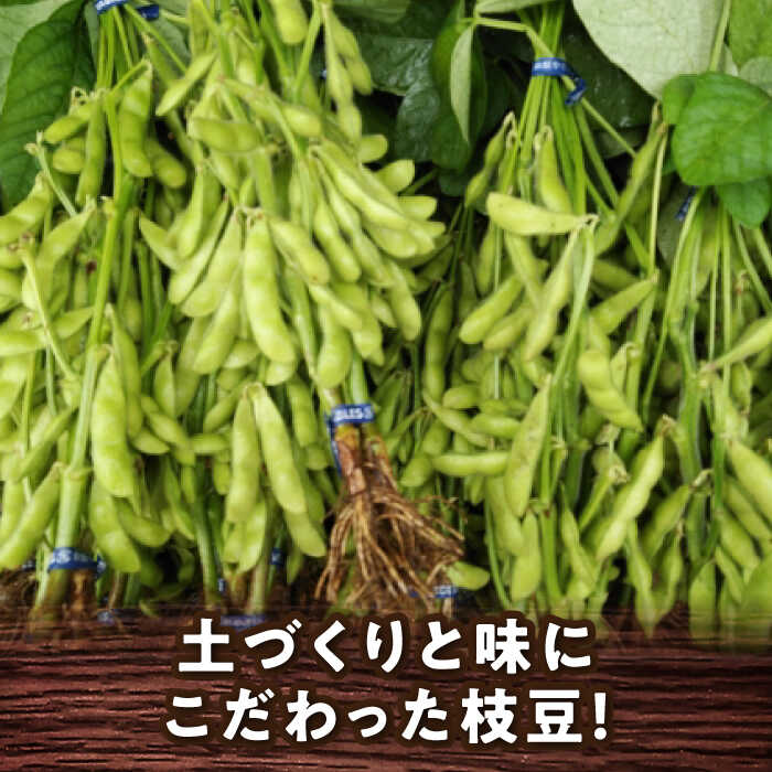 【ふるさと納税】＼産地直送／愛西市産 枝豆3kg 野菜 枝豆 おつまみ 愛西市／お米の三輪[AECM004] - 画像3