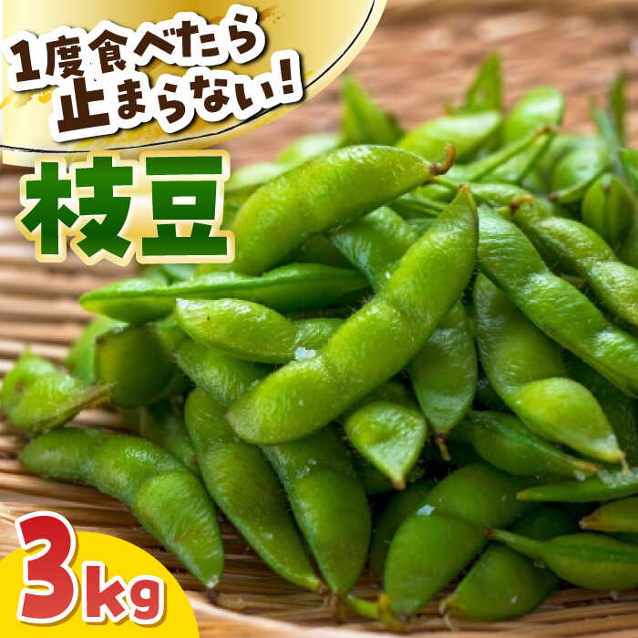 ＼産地直送／愛西市産 枝豆3kg 野菜 枝豆 おつまみ 愛西市／お米の三輪[AECM004]