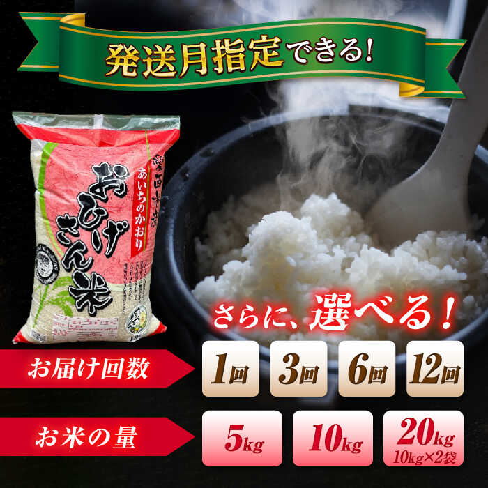 【ふるさと納税】＼選べる内容量・発送月・回数／ 令和7年産 あいちのかおり 5kg 10kg 20kg 選べる 選べる発送月 選べる回数 1回 3回 ブランド米 銘柄米 国産 精米 白米 米 お米 こめ コメ ご飯 ごはん 小分け 定期便 先行予約 愛西市/脇野コンバイン[AECP001] - 画像3