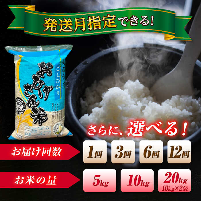 【ふるさと納税】＼選べる内容量・発送月・回数／令和7年度産 愛知県 コシヒカリ 5kg 10kg 20kg 選べる発送月 選べる回数 1回 3回 ブランド米 銘柄米 精米 白米 米 お米 こめ コメ ご飯 ごはん 小分け 定期便 先行予約 愛西市/脇野コンバイン[AECP021] - 画像2