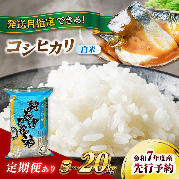 ＼選べる内容量・発送月・回数／令和7年度産 愛知県 コシヒカリ 5kg 10kg 20kg 選べる発送月 選べる回数 1回 3回 ブランド米 銘柄米 精米 白米 米 お米 こめ コメ ご飯 ごはん 小分け 定期便 先行予約 愛西市/脇野コンバイン[AECP021]