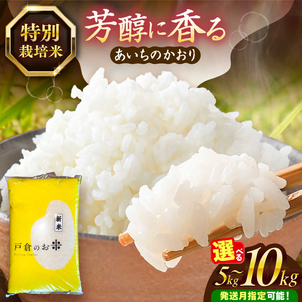 ＼選べる内容量・発送月／ あいちのかおり 白米 5kg / 10kg お米 ご飯 愛西市 / 戸倉トラクター 【配達不可：離島】[AECS001]