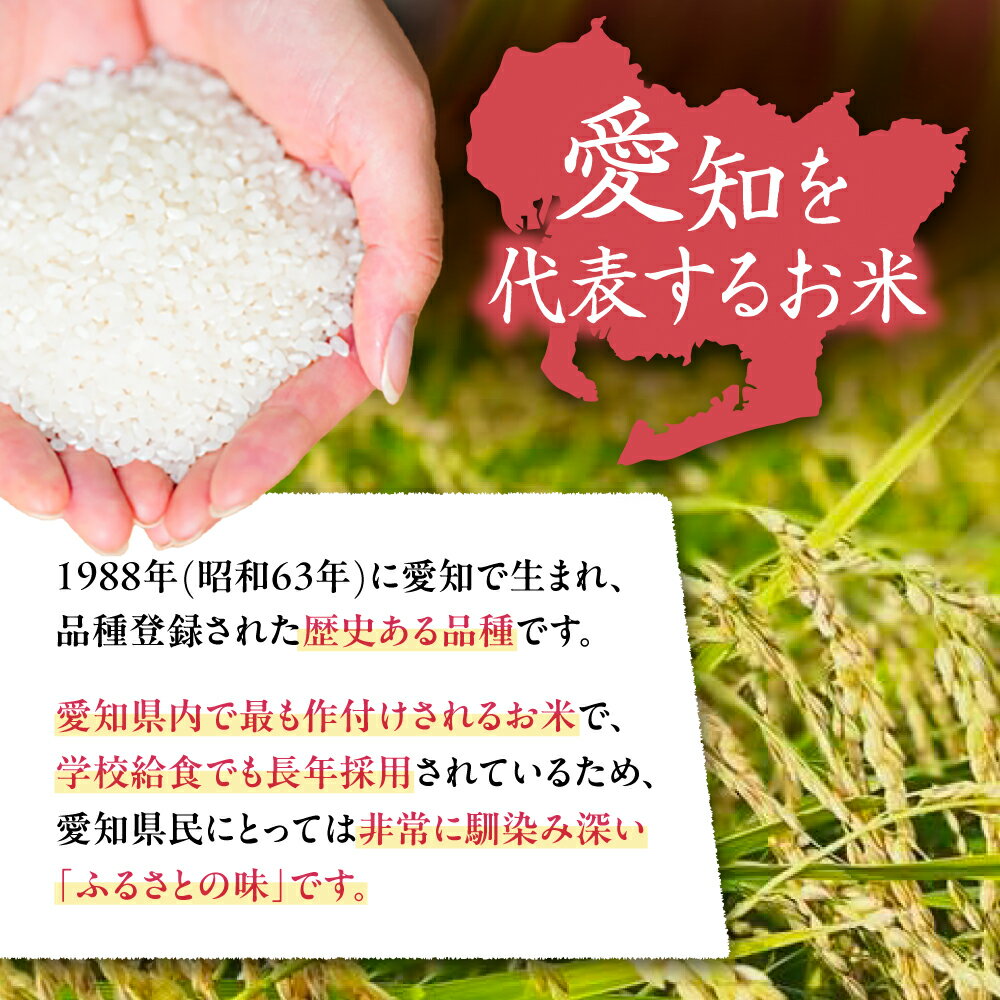 【ふるさと納税】＼選べる内容量・発送月／ あいちのかおり 白米 5kg / 10kg お米 ご飯 愛西市 / 戸倉トラクター 【配達不可：離島】[AECS001] - 画像3