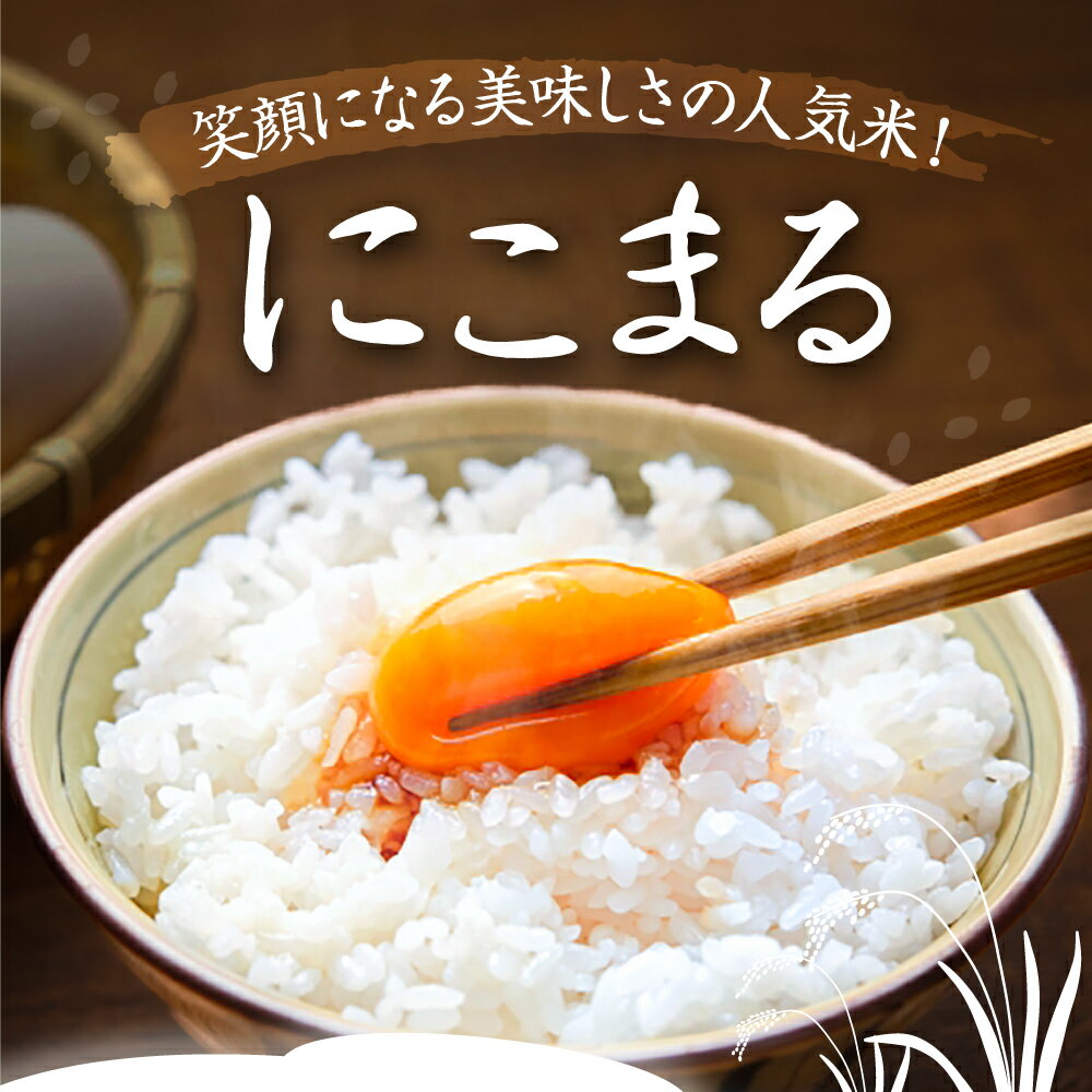 【ふるさと納税】＼選べる内容量・発送月／ にこまる 白米 5kg / 10kg お米 ご飯 愛西市 / 戸倉トラクター 【配達不可：離島】[AECS055] - 画像2