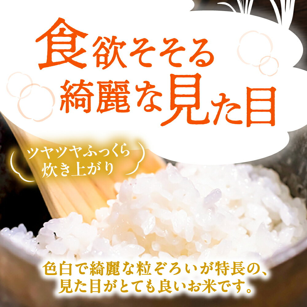 【ふるさと納税】＼選べる内容量・発送月／ にこまる 白米 5kg / 10kg お米 ご飯 愛西市 / 戸倉トラクター 【配達不可：離島】[AECS055] - 画像3