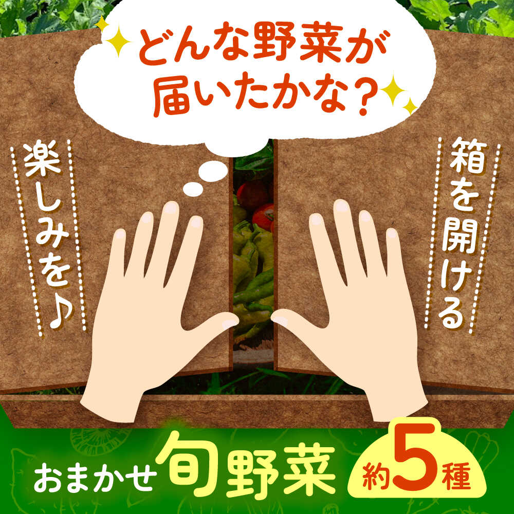 【ふるさと納税】野菜 季節の旬の野菜おまかせBOX 農家直送 野菜 詰め合わせ 愛西市 / 平野農園[AEDO001] - 画像2