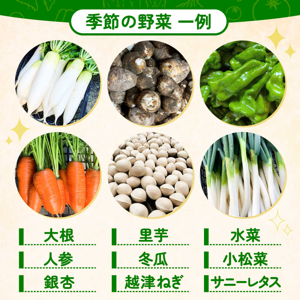 【ふるさと納税】野菜 季節の旬の野菜おまかせBOX 農家直送 野菜 詰め合わせ 愛西市 / 平野農園[AEDO001] - 画像3