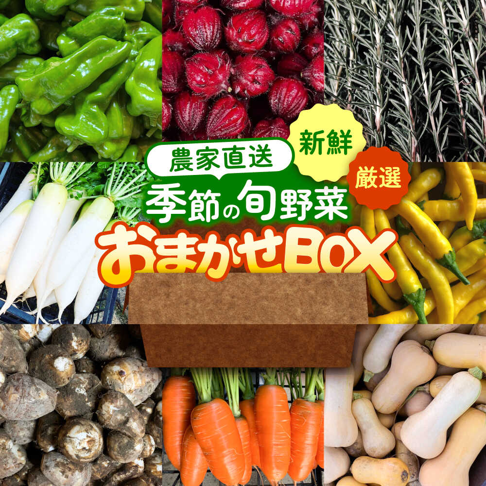 野菜 季節の旬の野菜おまかせBOX 農家直送 野菜 詰め合わせ 愛西市 / 平野農園[AEDO001]
