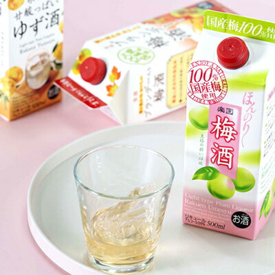 【ふるさと納税】梅酒・ゆず酒　500mlパック　6本セット(3種類×各2本)【1139985】 サムネイル3