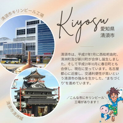 【ふるさと納税】キリン　クラシックラガー350ml×24本(1ケース)【1180973】 サムネイル2