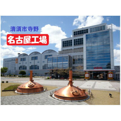 【ふるさと納税】キリン 氷結 シチリア産レモン チューハイ 500ml1ケース(24本)【1612558】 サムネイル3