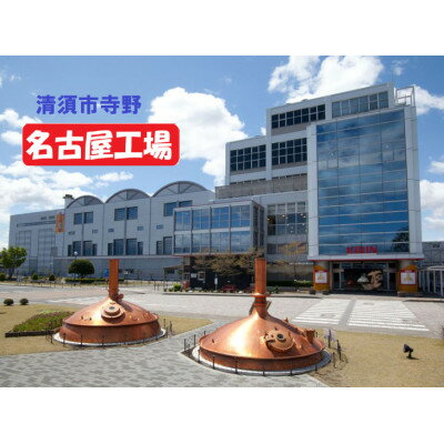 【ふるさと納税】【2ヵ月毎定期便】キリン 氷結無糖レモン7%とZERO 各1箱 350ml 2ケース(48本)全3回【4062840】 サムネイル2