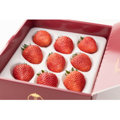 【産直】完熟よつぼし『四重奏プレミアム』　愛知県みよし市　【配送不可地域：離島・北海道・沖縄県】【1284759】