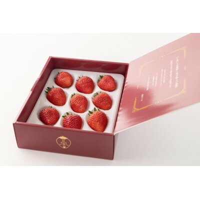 【ふるさと納税】【産直】完熟よつぼし『四重奏プレミアム』　愛知県みよし市　【配送不可地域：離島・北海道・沖縄県】【1284759】 サムネイル2