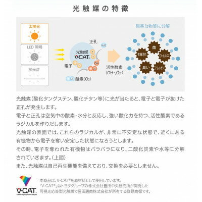 【ふるさと納税】【空気環境を守る!約30畳対応の空気清浄機】エアプロテクターエアプロAP-7E6Wホワイト【1344649】 サムネイル3
