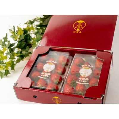 【産直】完熟よつぼし『四重奏』　愛知県みよし市　4パック(約1kg)【配送不可地域：離島・北海道・沖縄県】【1369815】