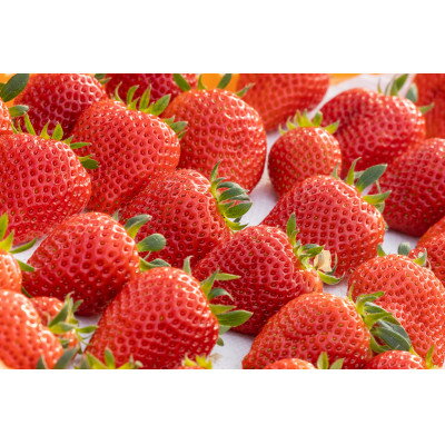 【ふるさと納税】【産直】完熟よつぼし『四重奏』　愛知県みよし市　4パック(約1kg)【配送不可地域：離島・北海道・沖縄県】【1369815】 サムネイル2