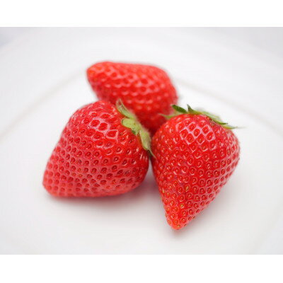 【ふるさと納税】【産直】冷凍いちご　よつぼし　愛知県みよし市　1Kg【配送不可地域：離島】【1617051】 サムネイル2