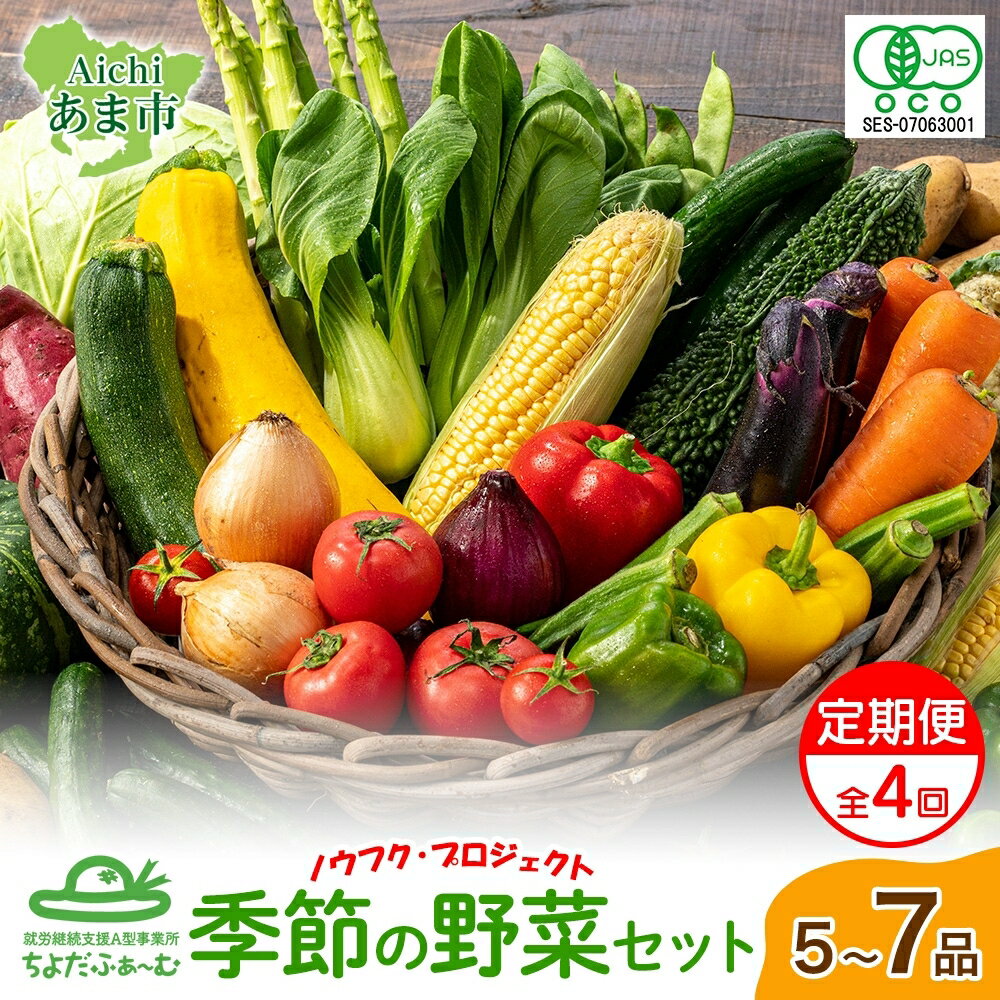 【全4回 2月・5月・8月・11月】 定期便 季節の野菜 詰め合わせ ノウフク 冷蔵便 就労支援 セット 詰合せ 農福 農福JAS 無農薬 有機JAS 有機栽培 オーガニック 野菜 新鮮 料理 旬 季節 無農薬 千代田ファーム 愛知県 あま市
