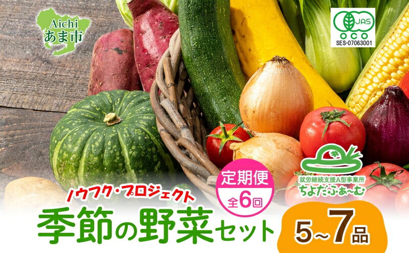 【ふるさと納税】【全6回 奇数月にお届け！】定期便 季節の野菜 詰め合わせ ノウフク 冷蔵便 就労支援 セット 詰合せ 農福 農福JAS 無農薬 有機JAS 有機栽培 オーガニック 野菜 新鮮 料理 旬 季節 無農薬 千代田ファーム 愛知県 あま市 - 画像2