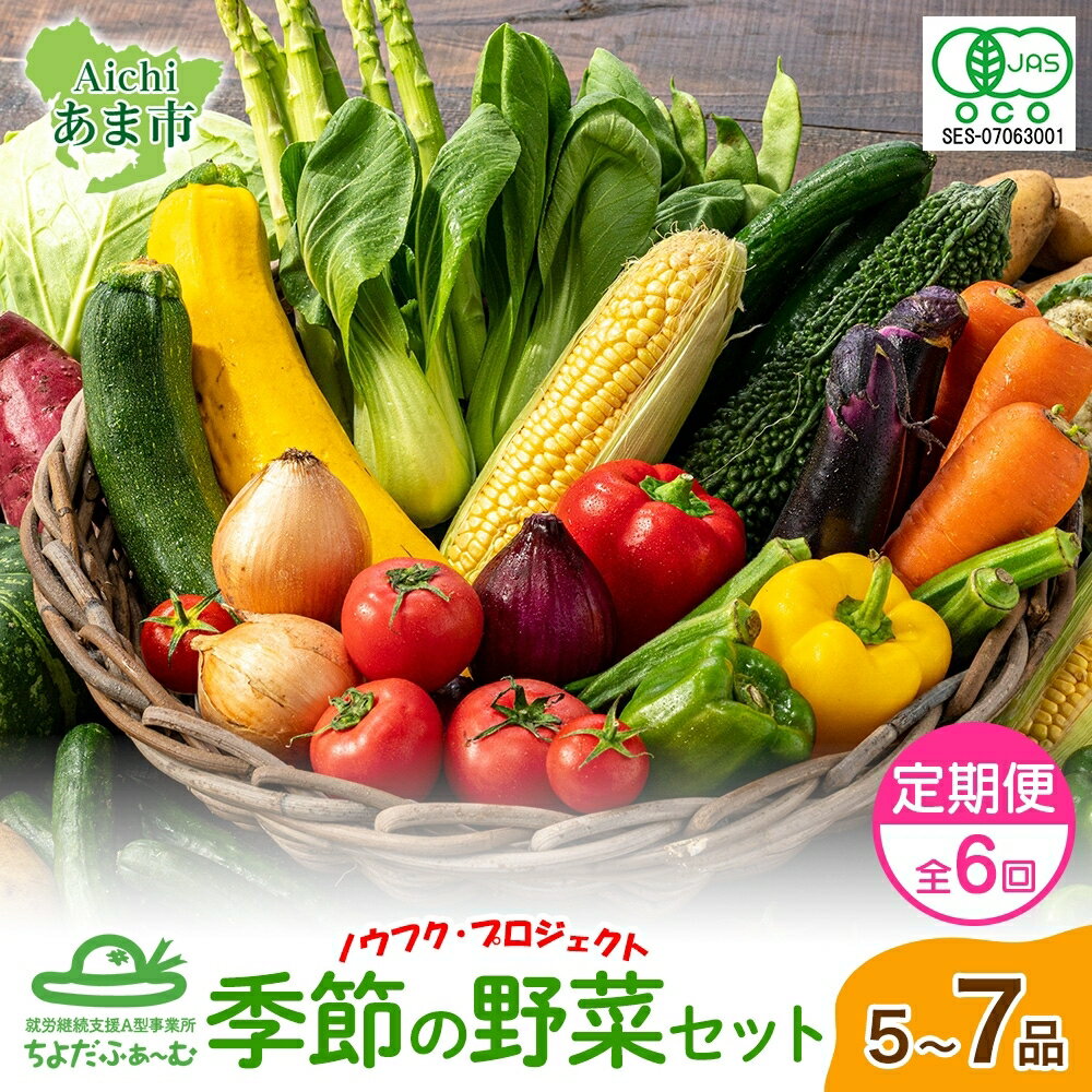 【全6回 奇数月にお届け！】定期便 季節の野菜 詰め合わせ ノウフク 冷蔵便 就労支援 セット 詰合せ 農福 農福JAS 無農薬 有機JAS 有機栽培 オーガニック 野菜 新鮮 料理 旬 季節 無農薬 千代田ファーム 愛知県 あま市