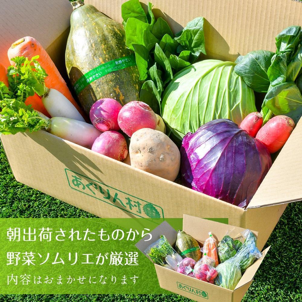 【ふるさと納税】あぐりん村の新鮮野菜宅配BOX 常温配送期間［ 新鮮野菜 宅配BOX 詰め合わせ クール便 季節野菜 健康 ヘルシー 人気 おすすめ ギフト プレゼント お取り寄せ 通販 送料無料 ふるさと納税 ］ - 画像2