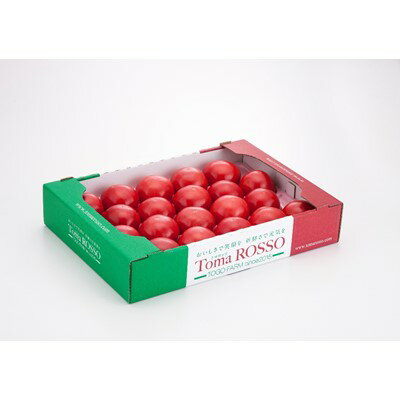 Toma ROSSO トマト 大箱【1204126】