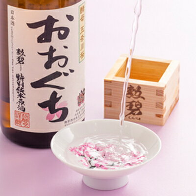 【ふるさと納税】おおぐち【1343080】 サムネイル2