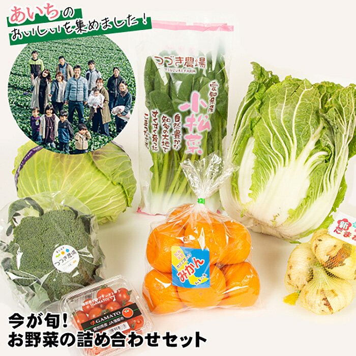 今が旬！お野菜の詰め合わせセット ／ 旬野菜 詰め合わせ 野菜セット 新鮮 冷蔵 旬食材 食卓 野菜レシピ 無農薬 感想 野菜ボックス おまかせ 野菜配達 家庭料理 送料無料 愛知県 No.214